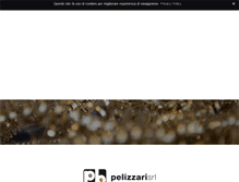 Tablet Screenshot of pelizzari-srl.it